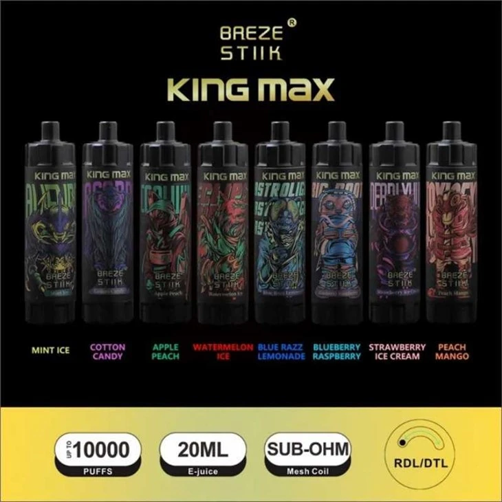 Breze Stiik King Max 10000 pust