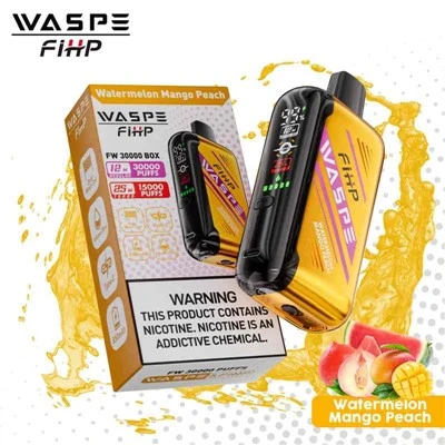WASPE FIHP FW 30000 KASSE