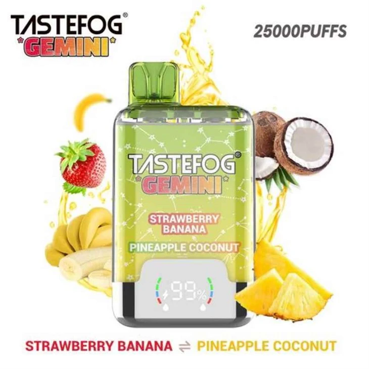 TastRefog Gemini 25k