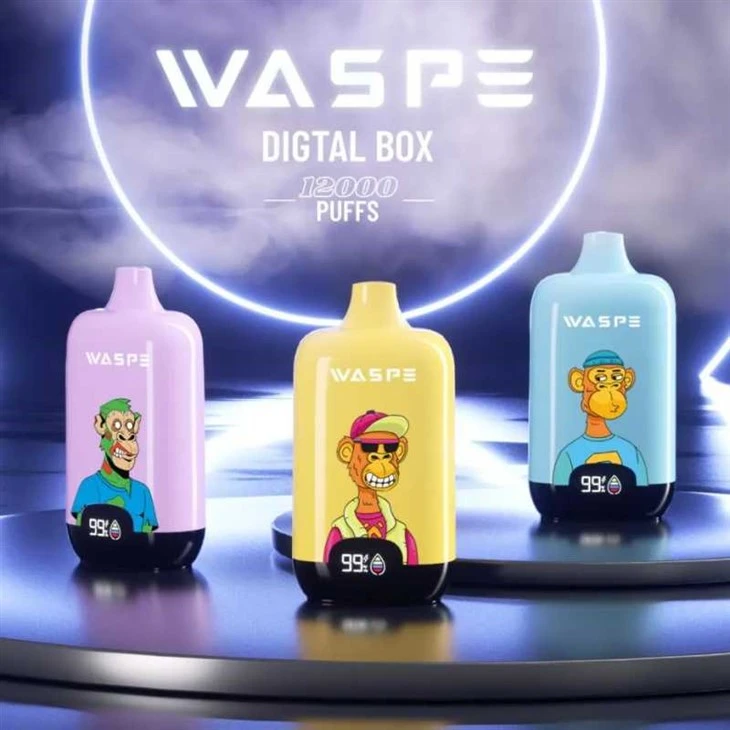 WASPE digitalboks 12000