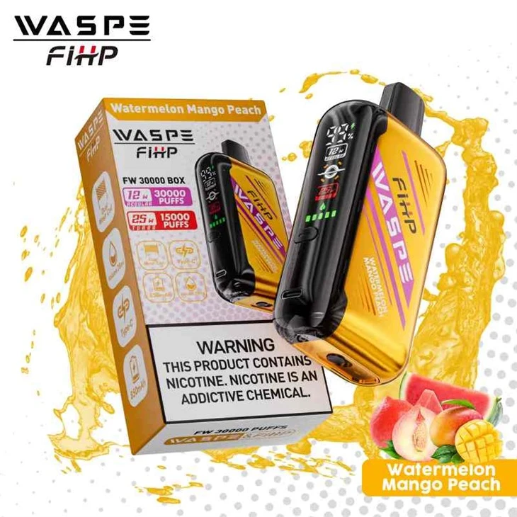 WASPE FIHP FW 30000 KASSE