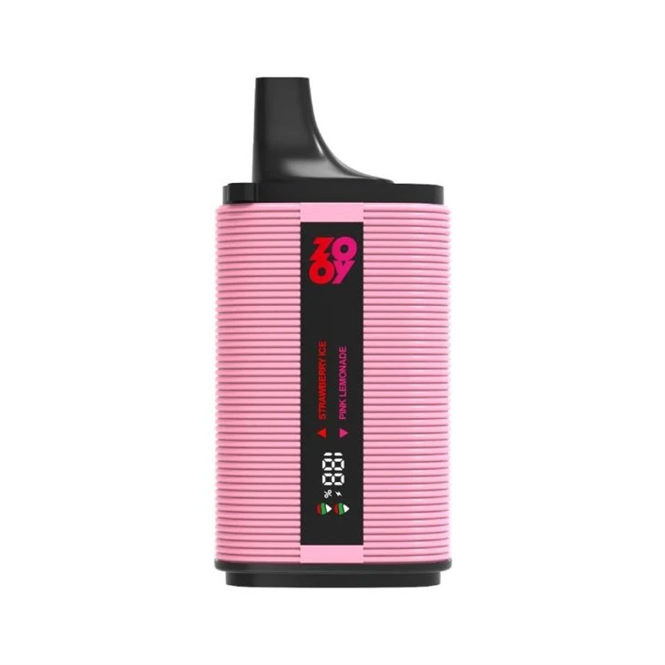 ZOOY TWINS 35000 9